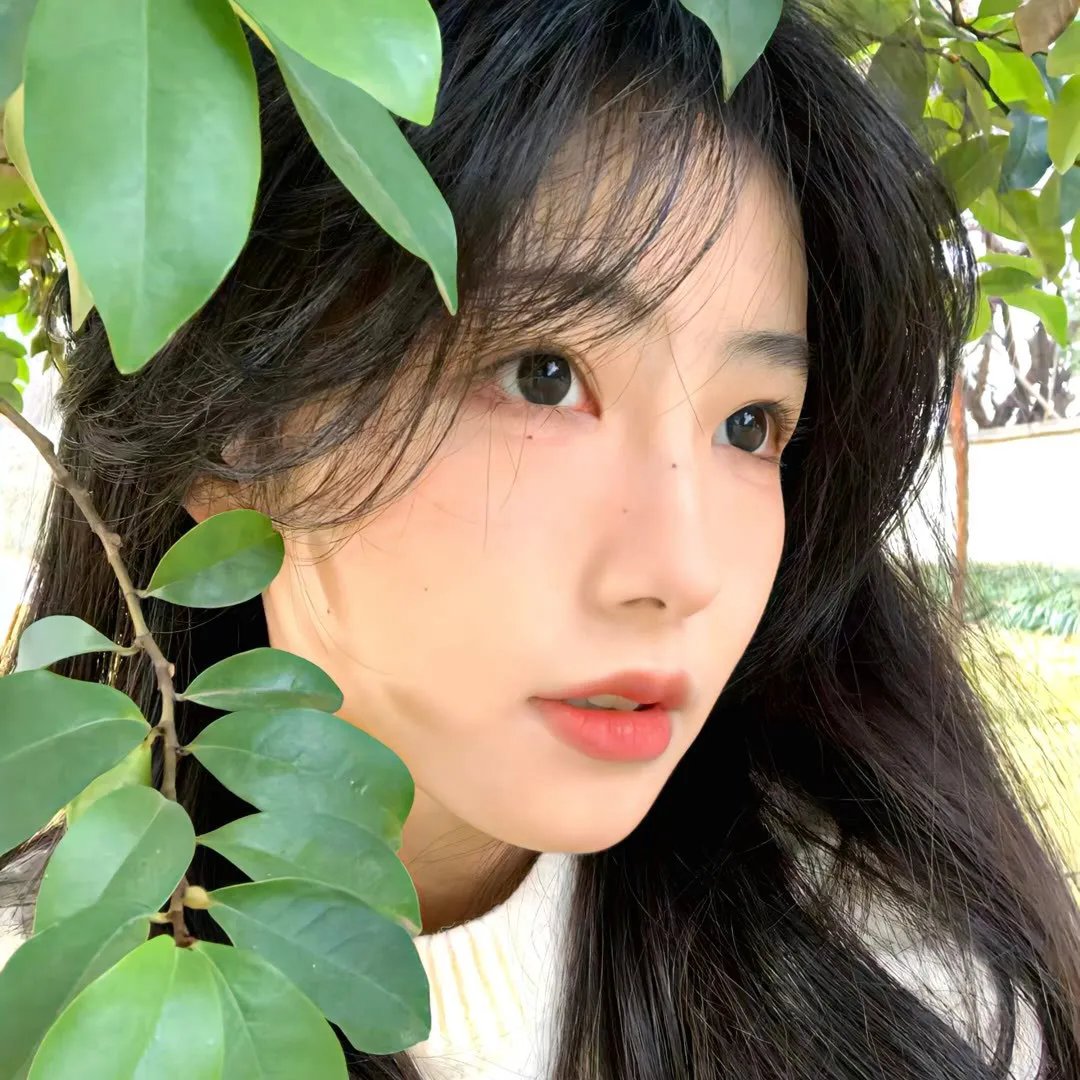 中国战役